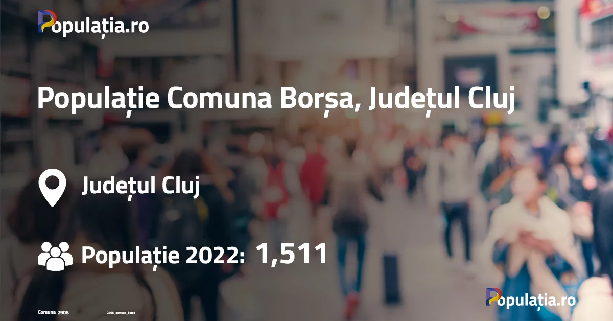 Populație Comuna Borșa