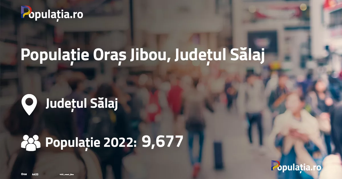 Populație Oraș Jibou