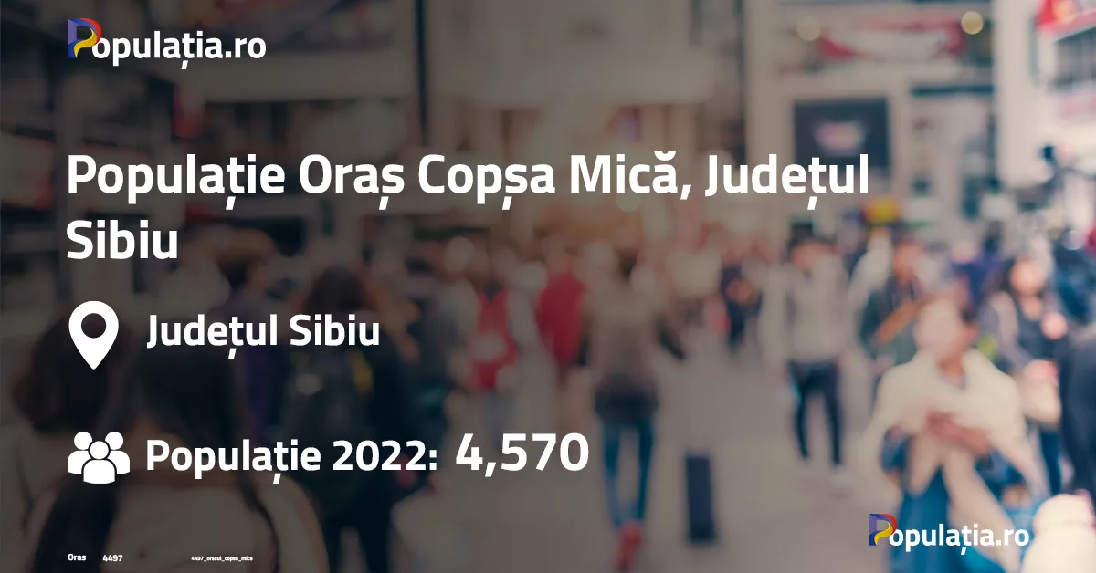 Populație Oraș Copșa Mică